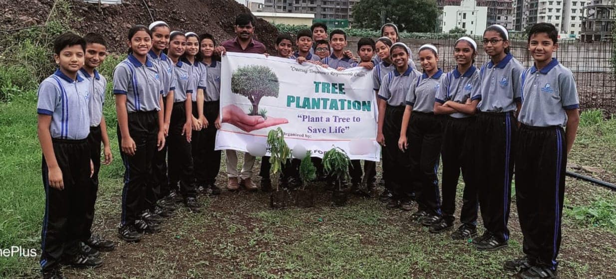 Plantation Drive2